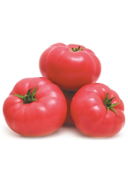 Rajčiak indeterminantný ružový Mei Shuai F1 100 semien